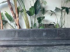 -明谷行馆·温泉