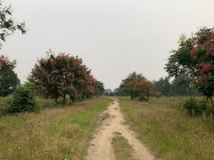 -汉长安城未央宫国家考古遗址公园