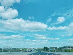 -荷兰花海