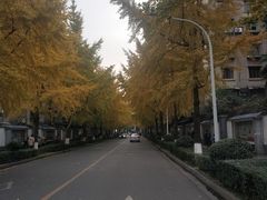 -四川大学(望江校区)