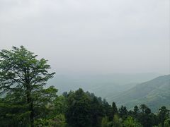 -莫干山风景区