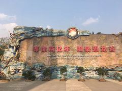 -世界恐龙谷景区