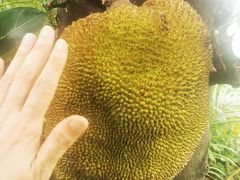 -低涌(地铁站)
