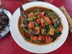 剑骨鱼啤酒炖-生态苑农庄(十里画廊遇龙河店)