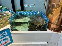 -大锅强·蒸海鲜青岛菜(吾悦广场店)