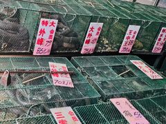 -荔城生鲜盛宴(番禺旗舰店)