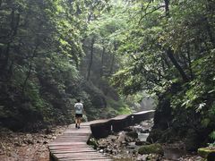 -青城山