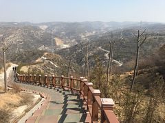 -五龙城郊森林公园