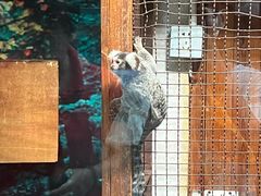 -上海大自然野生昆虫馆