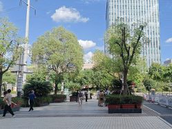 -上海市儿童医院(泸定路院区)