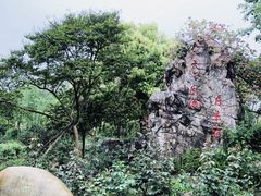 -鹅湖玫瑰文化园