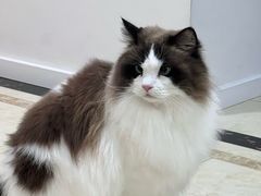 -它主义宠物(梁溪万达店)