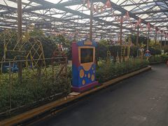 -南宫五洲植物乐园