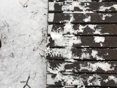 -帽儿山国家森林公园