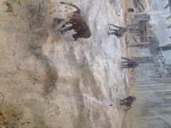 iphone_upload_pic-福州动物园