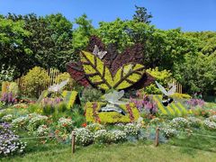 -上海共青森林公园