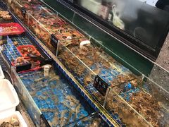 水产区-飞尝蚝·顺德菜·鱼生(顺德总店)