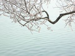 -颐和园