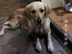 -浔岚云舍mist静谧观景美宿(丽江古城店)