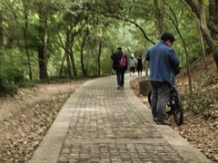 -紫金山山顶公园