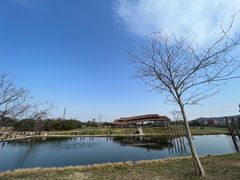 -良渚古城遗址公园