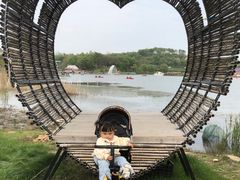 -大塘金香草谷