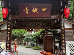 -青城甲(青城山店)