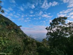 -阳台山森林公园