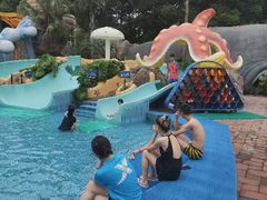 -重庆海昌加勒比海水世界