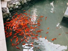 -南宫五洲植物乐园