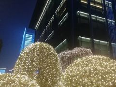-丽晶轩中餐厅(重庆丽晶酒店)