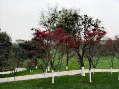 -龙头寺公园
