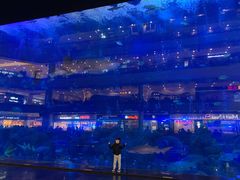 -成都浩海立方海洋公园