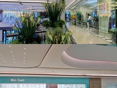-合景·悠方(成都店)