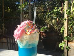 The&nbsp;unicorn-The Grounds of Alexandria