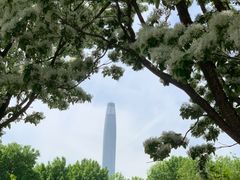 -泰丰公园