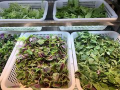 -老凯俚酸汤鱼(东山店)