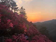 -木兰云雾山