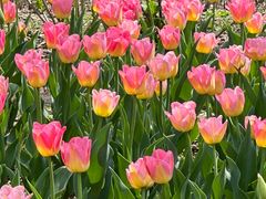 -玄武湖景区-情侣园游乐场