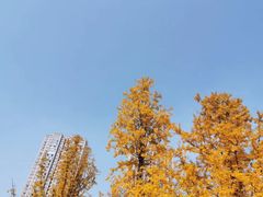 -龙头寺公园