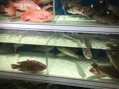 -盒马鲜生(岭南新世界店)