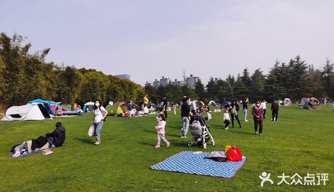 世紀公園的下午熱熱鬧鬧,門票都售罄了,還好來的早