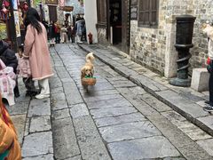 -羊楼洞