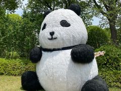 -苏州太湖国家湿地公园