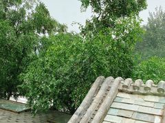 -小吊梨汤·北京菜(香山店)