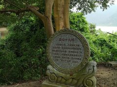 -羚羊峡古栈道森林公园