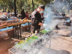 -南宁良凤江国家森林公园