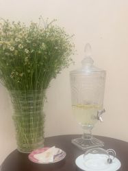 -尊尚柏丽美容SPA