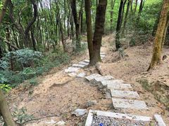 -火炉山森林公园