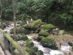 -牛背梁国家森林公园